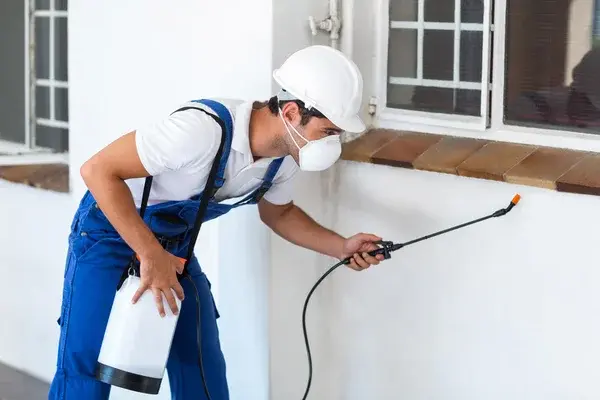 Pest Control Kilsyth